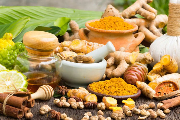 Ayurveda Lifestyle Course